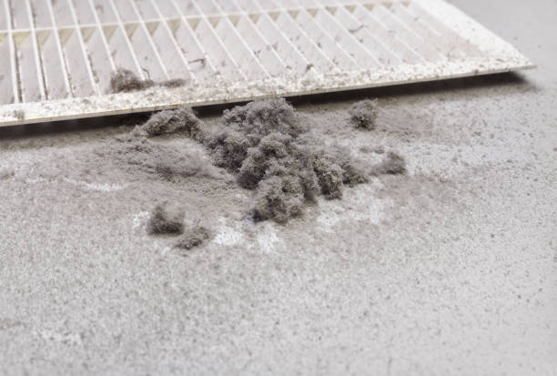 Best Air Vent Cleaning Services  in Merriam Woods, MO