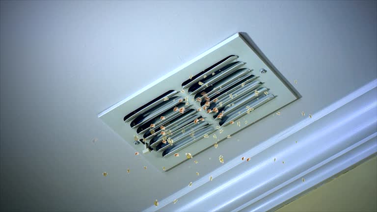 Best Air Duct Cleaning Near Me in MO